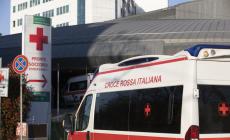 Migliorano le condizioni del bambino azzannato dal cane