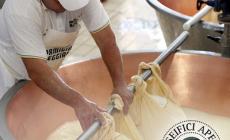 Torna  "Caseifici aperti" 