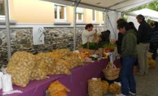 La Sagra della patata in  Val Ceno