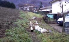 Bardi: sette frane in 10 chilometri 