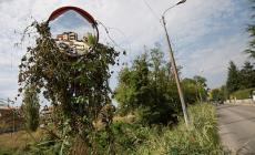 Lampioni spenti e tante erbacce: Vicofertile chiede aiuto 