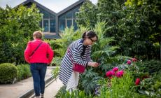 Giardini aperti, oggi nell'Orto Davines e nel Bosco Spaggiari