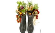 CibusLand porta a Parma il Festival internazionale di Fotografia culinaria 