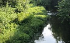 Salso, allarme per i torrenti pieni di vegetazione