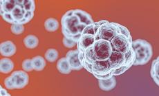 Covid-19, una nuova tecnologia elimina il virus dai tessuti