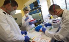 Fase 3: in E-R test sierologici gratis a donatori di sangue