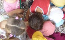 &laquo;A mio figlio disabile non pi&ugrave; di 4 settimane di centro estivo&raquo;