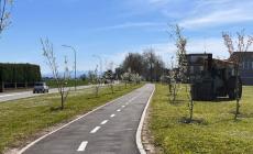 Una pedalata lunga 540 km: le nuove ciclovie del Parmense