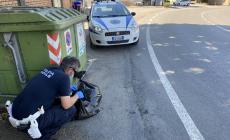 Tre lombarde a Soragna per disfarsi dei rifiuti: viste e multate