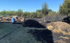 Incendio di sterpaglie a San Secondo: vigili del fuoco al lavoro - Foto