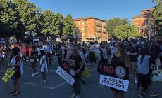 Manifestazione sul tema degli affidi