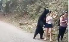 L'orso le si alza alle spalle, lei resta immobile e scatta anche un selfie - Video 