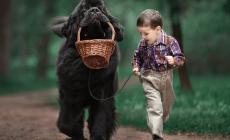 Cani e bambini: le regole d'oro della convivenza