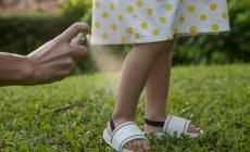 Zanzare e zecche ti hanno preso di mira? Occhio alle infezioni, ecco più comuni