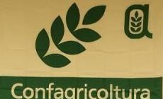 Confagricoltura:  riconfermato Guidi alla presidenza