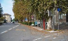 Scippa una 65enne e poi fugge chiedendo un passaggio in auto