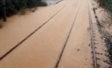 Rami sulla ferrovia nel Cremonese, interrotte alcune linee