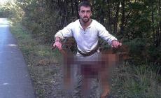 Segugio sbranato durante la caccia