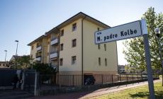 I ladri scalano i muri come ragni e lasciano tracce di gomma verde