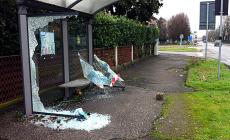 Raid dei vandali: una carrellata di auto danneggiate. Ko anche una pensilina