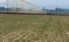 L'irrigatore bagna il cavo dell'alta tensione: ed &egrave; black out