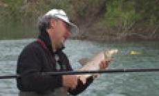 A Pesca con Afro 