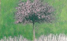 Mattioli il mistero della materia