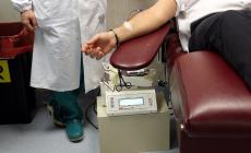 Domani, 14 giugno, la Giornata mondiale dei donatori di sangue. In Emilia Romagna aumentano i donatori sangue, +14% raccolta plasma-piastrine 