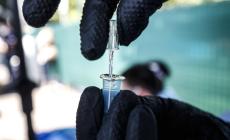 31 luglio - Undicesimo giorno senza decessi a Parma (un nuovo contagio). Nessun morto in tutta la regione