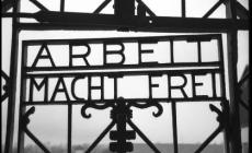 Recital, libri, incontri: la "Giornata della Memoria" a Parma
