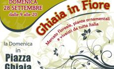 I fiori in Piazza Ghiaia
