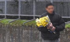 Mimose "abusive": sequestri per 20mila euro 