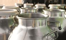 Prezzo del latte da industria: siglato il nuovo protocollo