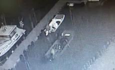 I predoni del Po colpiscono ancora: motori rubati a Torricella