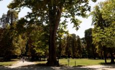 Città più «green», Parma arretra