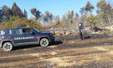 Dopo tre anni di indagini individuato l’incendiario della Valtaro (è ai domiciliari)