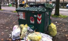 Via i cassonetti, arrivano i topi
