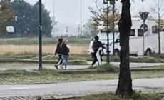 Arraffano giubbotti e felpe e scappano in pieno giorno