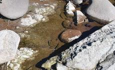 Lo sdegno del Wwf: ennesimo sversamento illegale di liquami nell'Enza - Foto