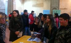 Scuole superiori, ecco come scegliere 