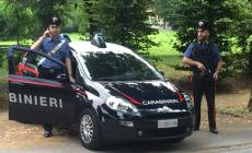 Rubano sul posto di lavoro, due denunciati