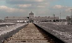Ecco perché il 27 gennaio è il Giorno della Memoria