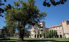 La tavola nell'orto in piazza della Pace