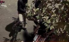 Evade da Brescello, ritrovato a Reggio con dosi di eroina in bocca e soldi falsi 