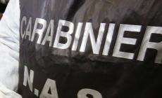 Controlli dei Nas di Parma nelle gelaterie: sequestrati 70 kg di preparati per gelati