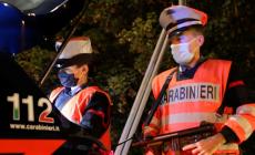 Casaltone, ladri in tre case e in un bar