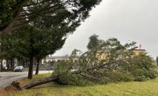 Molti interventi nel Parmense per il forte vento, problemi all'alta tensione a Fidenza, Neviano, Collecchio e Sala Baganza 
