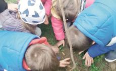 Due bambini "fuggono" dal nido a Borgotaro: una donna li vede e li riaccompagna all'asilo