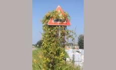 La Bici Parma Po tra segnali divelti, buche e pericoli - Foto