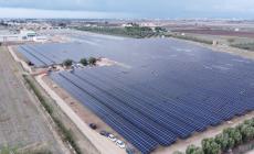 Max Streicher: nuova business unit per il fotovoltaico, grosso impianto a Taranto